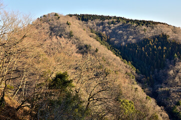 丹沢の大山三峰山より朝日の辺室山
