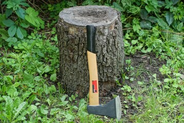 an iron new black ax with a wooden handle stands near an old wooden stump against the background of green plants in the summer on the street