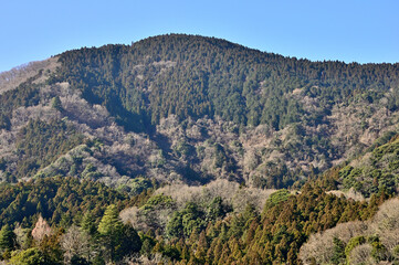 Fototapeta na wymiar 丹沢の旧道　宮ヶ瀬みちより辺室山を望む 