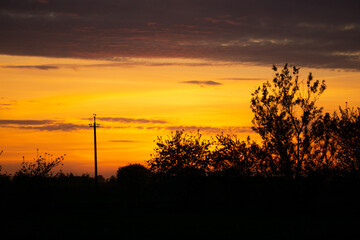 Fototapeta premium sunset in the field