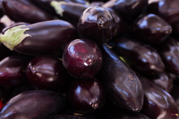 Fresh eggplant on market counter
