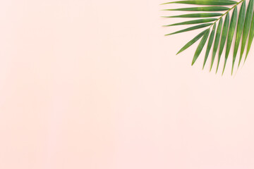 Fototapeta na wymiar Image of tropical green palm over pink pastel background