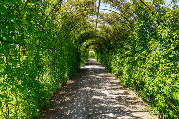 Archway in Rundale Palace park in Latvia, leading to a garden
