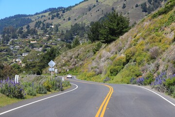 California Shoreline Highway