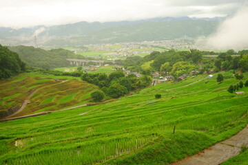 棚田から見下ろす町並み