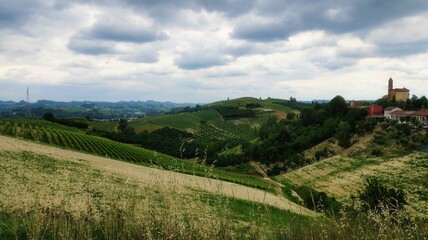 landscapes of vineyards in montà d'alba, in the Piedmontese Langhe. in the summer of 2022 - obrazy, fototapety, plakaty