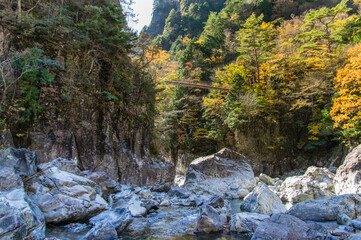 みたらい渓谷（奈良県天川村）の紅葉