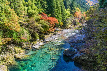 みたらい渓谷（奈良県天川村）の紅葉