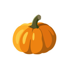 the single orange flat pumpkin