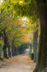 初秋（大阪府和泉市）の頃