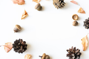 Obraz na płótnie Canvas dry leaves, cones and acorns on a white background