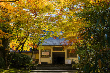 高野山（和歌山県高野町）の紅葉