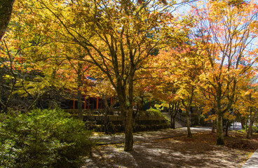 Naklejka premium 高野山（和歌山県高野町）の紅葉