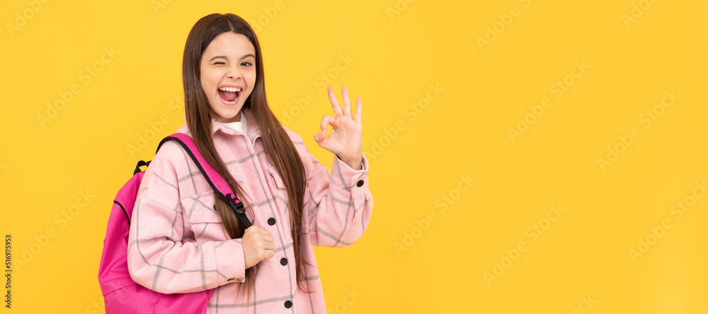 Poster happy kid girl wear pink checkered shirt carry school backpack, ok. banner of school girl student. s