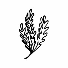 Freehand drawings of plants on a white background. Black brush drawing of flowers and field plants. Careless graphics with a black felt-tip pen.