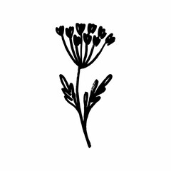 Freehand drawings of plants on a white background. Black brush drawing of flowers and field plants. Careless graphics with a black felt-tip pen.
