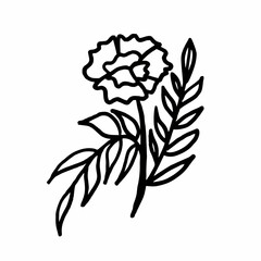 Freehand drawings of plants on a white background. Black brush drawing of flowers and field plants. Careless graphics with a black felt-tip pen.