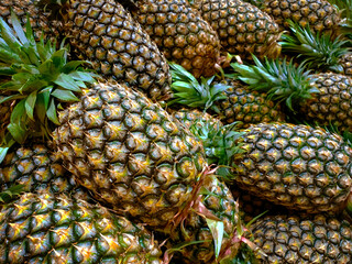 Green fresh Pineapple in the market