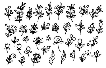 a set of vector cute twigs with berries and flowers, with leaves with isolated black outline on white. hand-drawn plants in the style of doodles, for textile design template, postcards and backgrounds