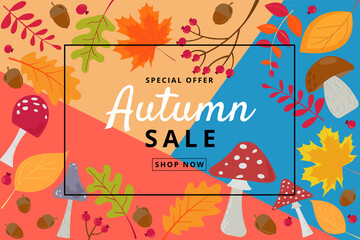 Autumn Sale Banner Vector illustration. Autumn sale banner with autumn colorful leaves, rowan berries, mushrooms, acorns.