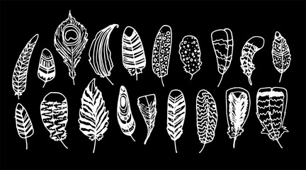 a set of different bird feathers. painted vintage collection of bird feathers in sketch style, with different textures of stripes and dots, isolated white outline on black for a design template