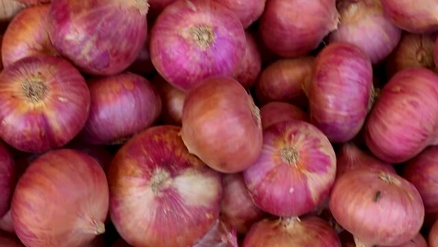 fresh organic onion from farm close up from different angle