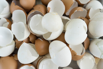 close up of a bowl of eggs
