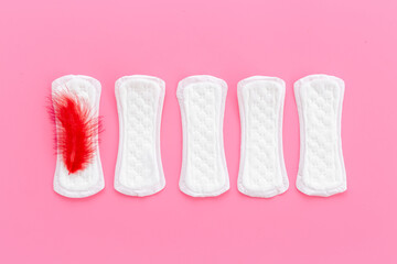 White panty liners with red feather. Menstruation period and daily hygiene