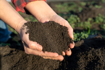 Agronomist checks the fertility of the soil. Agriculture concept. Expert Farmer checks the soil moisture in the field. Clean, healthy, fertile high quality black soil