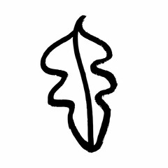 Freehand drawings of plants on a white background. Black brush drawing of flowers and field plants. Careless graphics with a black felt-tip pen. GRUNGE