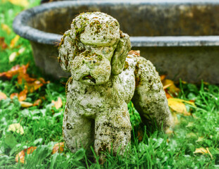 Decoration stone sculpture of the poodle dog