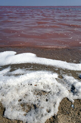 wide-angle panorama of the pink lake Sasyk-Sivash in the western Crimea