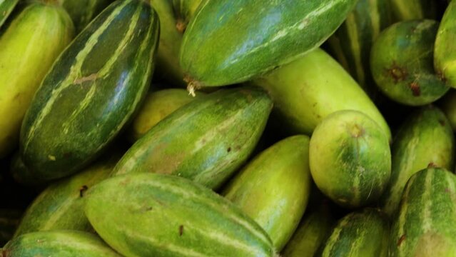 fresh organic pointed gourd from farm close up from different angle