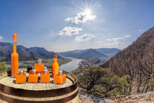 Apricots drinks on barrel against valley with Danube river in Wachau, Austria, (Unesco world heritage site)