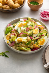 Healthy food. Delicios potato salad with eggs, cucumbers, cabbage and red pickled onions. Delicious healthy summer salad.