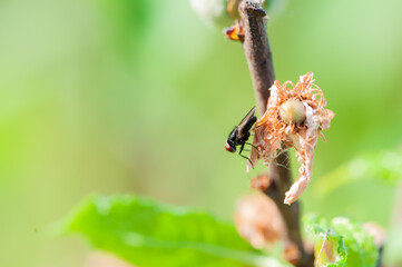 In spring, rivers and plants in urban parks