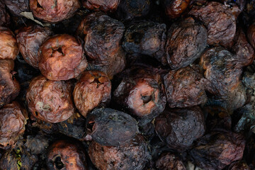 dried dates background