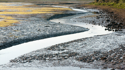 Meandros de ría en zona de barro de humedal en marea baja