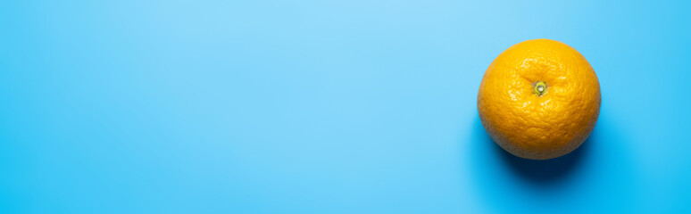 Top view of orange on blue background with copy space, banner.