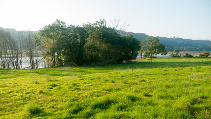 Pradera verde y árboles a la orilla de una ría