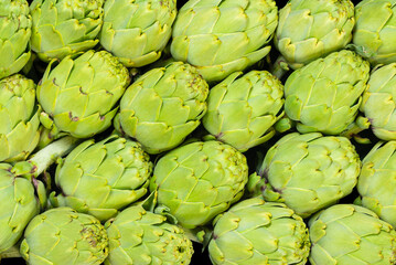 Fototapeta premium Close up of fresh looking delicious artichokes