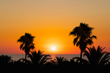 Fototapeta na wymiar Sun setting over the sea with palm trees