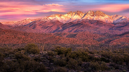 Four Peaks Wilderness, Arizona