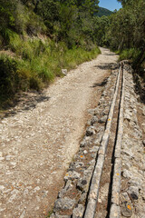 Obraz premium cami Vell de Estellencs, Puigpunyent, Mallorca, Balearic Islands, Spain