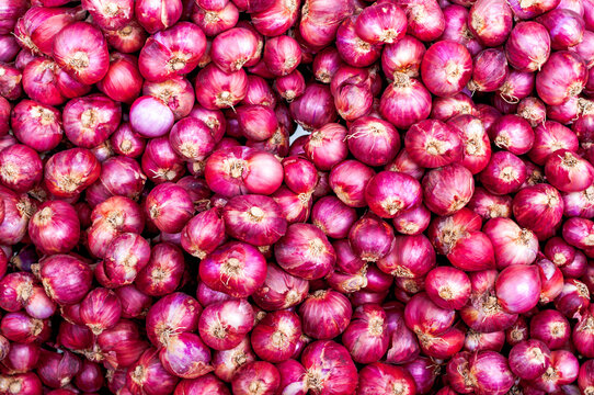 Red Onions Batch