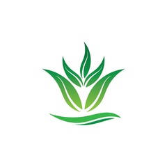 Fototapeta na wymiar Logos of green tree leaf ecology