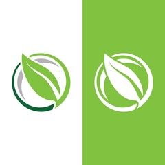 Logos of green tree leaf ecology