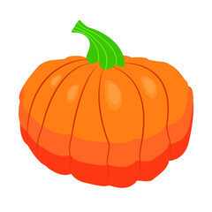 Pumpkin on a white background. Design elements of a summer farm. Local vegetable production. template Healthy food, nutrition, natural food, breakfast, cooking concept. Ideal for product design,