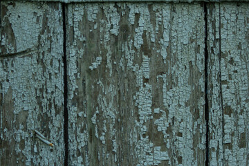 old peeled gray paint on wooden boards