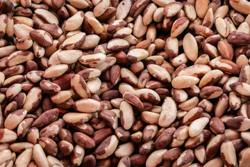 Brazil nut texture. South American walnut. Bertholletia. Close-up.